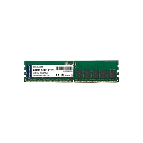 WHALEKOM 48GB DDR5 RDIMM 5600MHz ECC server memory