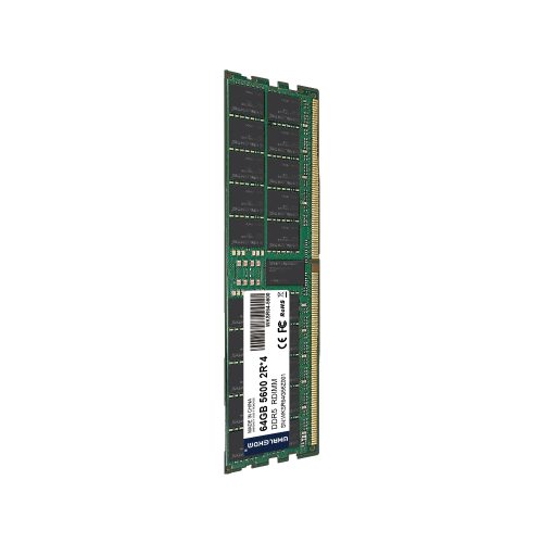 WHALEKOM DDR5 ECC RDIMM 2Rx4 server ram module